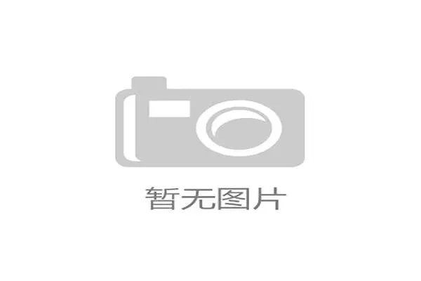 冠军赛志愿者团队全方位保障赛事顺利高效运行机制研究 冠军赛志愿者团队全方位保障赛事顺利高效运行机制研究